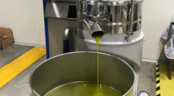 Olio Extra vergine d'oliva