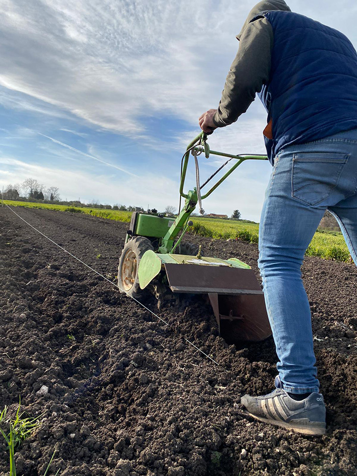 Preparazione del terreno